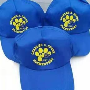 Election cap for 2022 Australia France president election